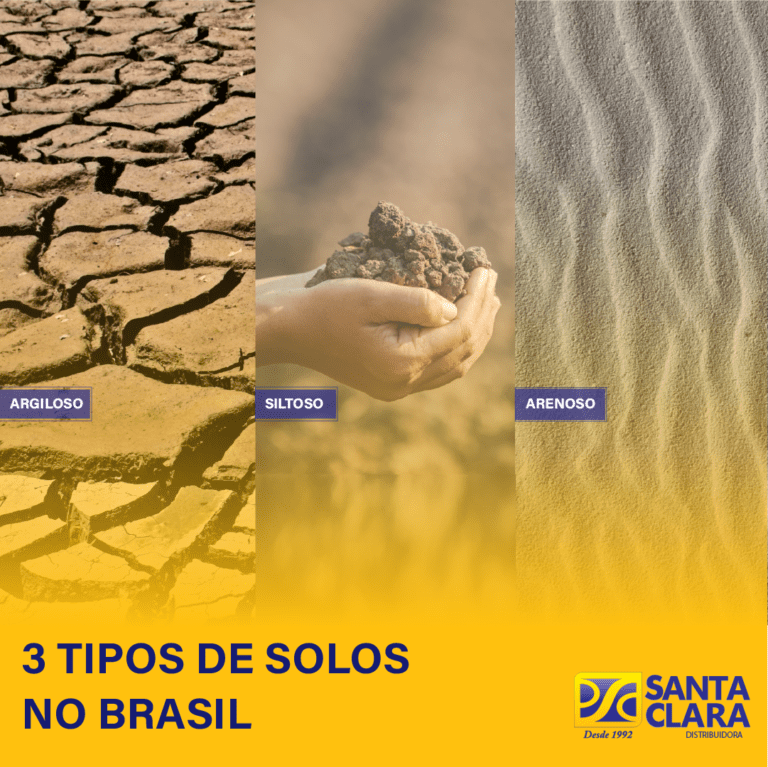 3 Tipos De Solo No Brasil Aço Santa Clara 7985