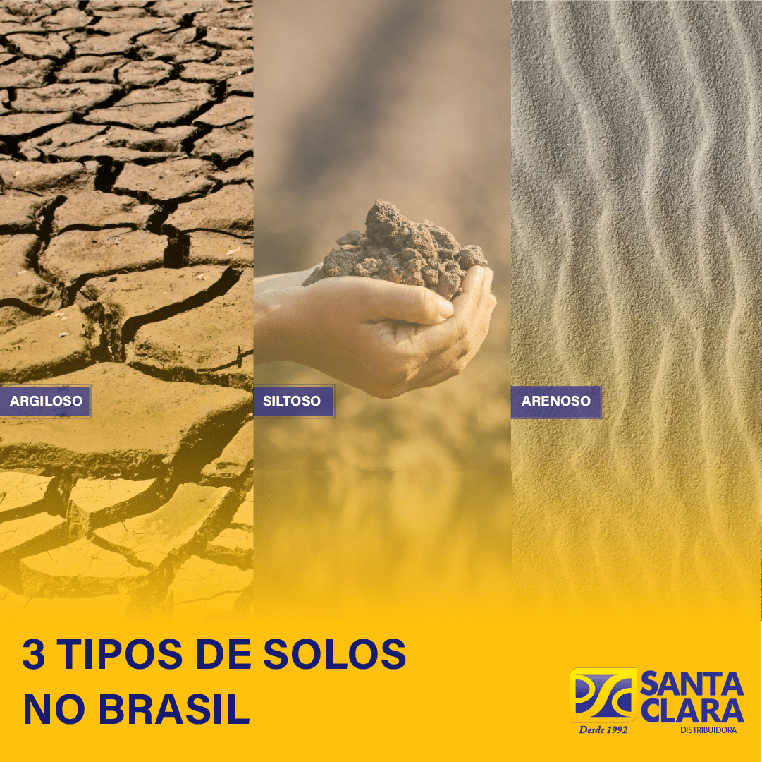 3 TIPOS DE SOLO NO BRASIL!